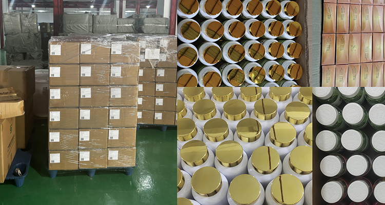 OEM Omega 3 Fish Oil Softgel Capsules EPA DHA 3 6 9 Brain Heart Health Supplements Herbal Supplements