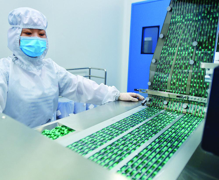 OEM Omega 3 Fish Oil Softgel Capsules EPA DHA 3 6 9 Brain Heart Health Supplements Herbal Supplements